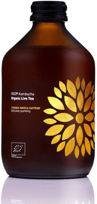 Kombucha BIO 330 ml
