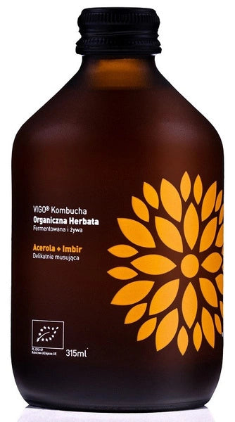 Kombucha BIO 330 ml